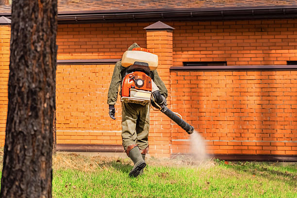 Trusted Termite Control service in Colony Park, PA - Nex Pest Control
